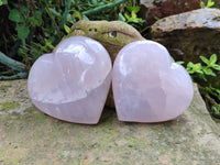 Polished Girasol Rose Quartz Hearts x 3 From Ambatondrazaka, Madagascar
