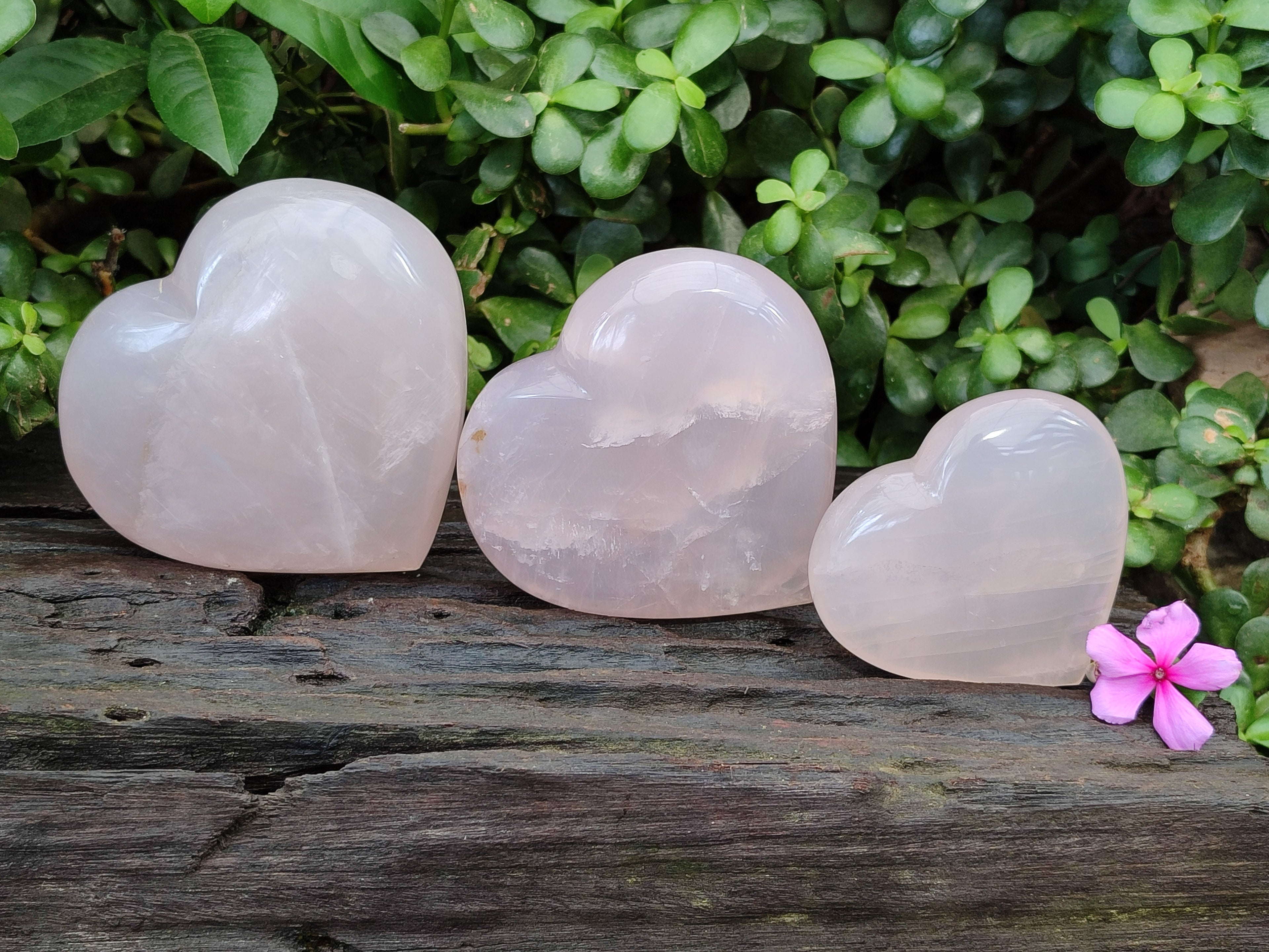 Polished Girasol Rose Quartz Hearts x 3 From Ambatondrazaka, Madagascar - Toprock Gemstones and Minerals 
