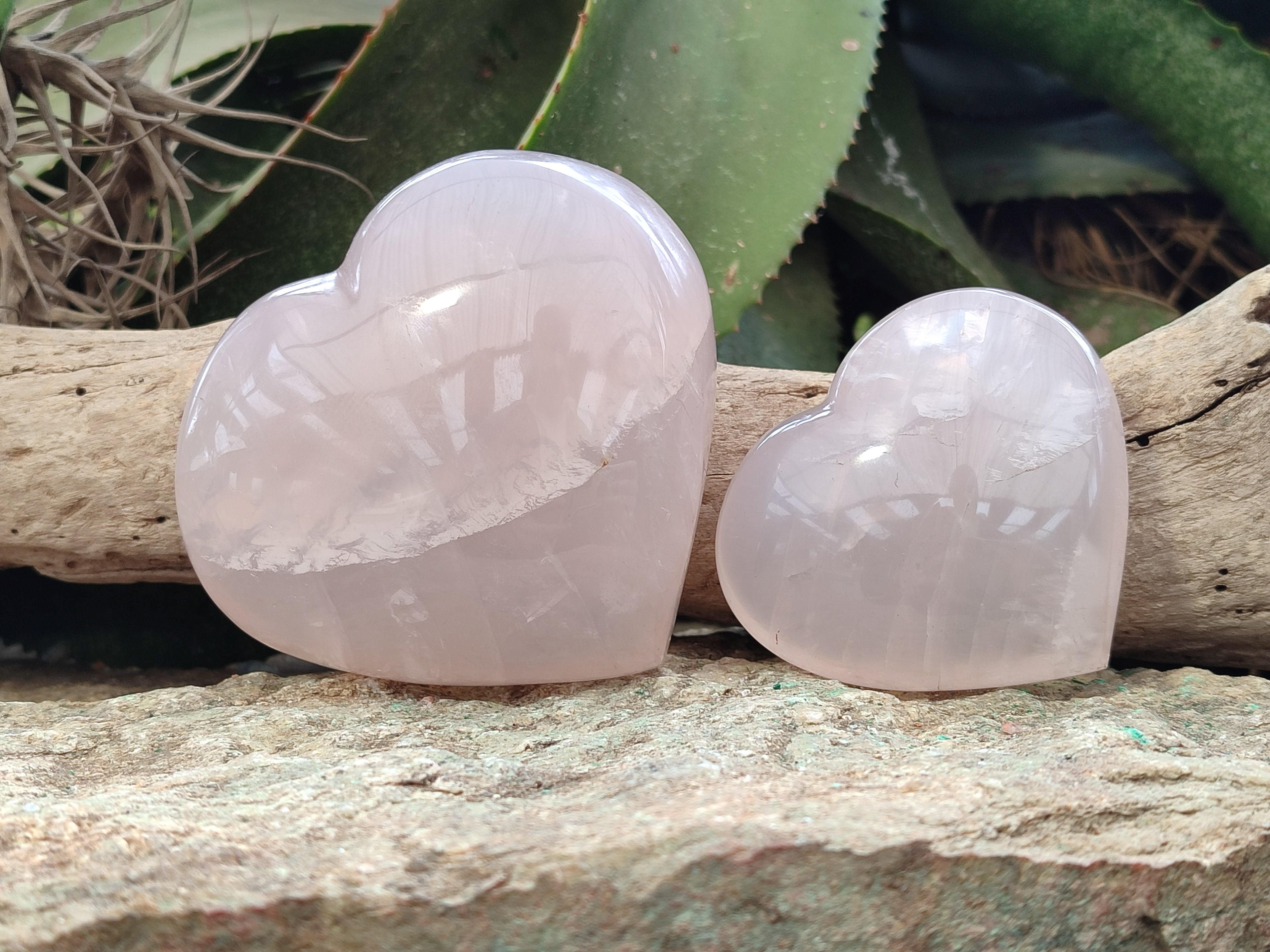 Polished Girasol Rose Quartz Hearts x 3 From Ambatondrazaka, Madagascar - Toprock Gemstones and Minerals 