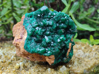 Natural Dioptase On Dolomite Specimens x 1 From Likasi, Congo