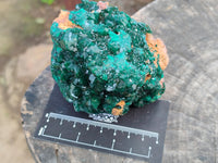 Natural Dioptase On Dolomite Specimens x 1 From Likasi, Congo