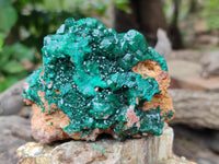 Natural Dioptase On Dolomite Specimens x 1 From Likasi, Congo