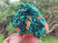 Natural Dioptase On Dolomite Specimens x 1 From Likasi, Congo