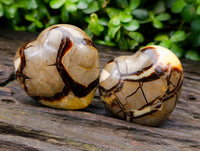 Polished Septerye Hearts x 6 From Mahajanga, Madagascar
