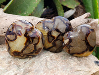 Polished Septerye Hearts x 6 From Mahajanga, Madagascar