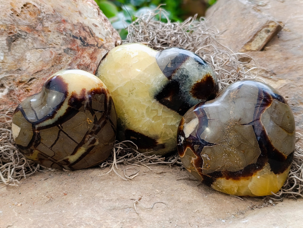 Polished Septerye Hearts x 6 From Mahajanga, Madagascar - Toprock Gemstones and Minerals 