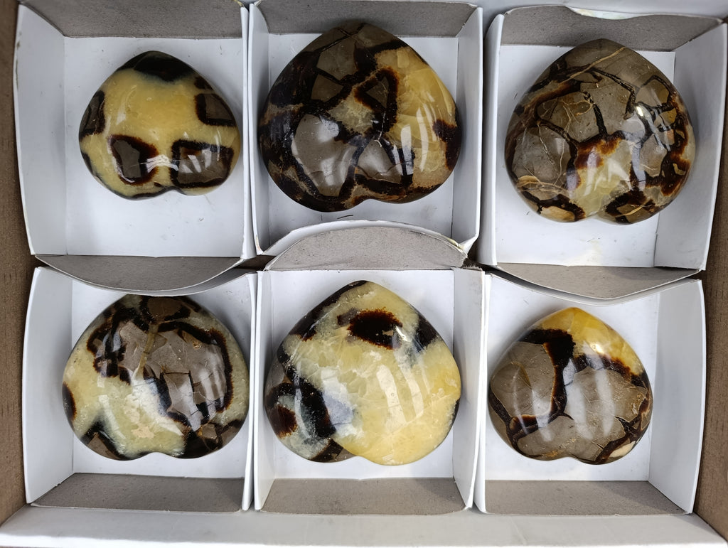 Polished Septerye Hearts x 6 From Mahajanga, Madagascar - Toprock Gemstones and Minerals 