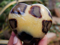 Polished Septerye Hearts x 6 From Mahajanga, Madagascar