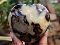 Polished Septerye Hearts x 6 From Mahajanga, Madagascar