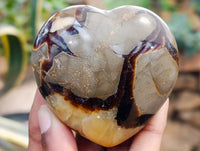 Polished Septerye Hearts x 6 From Mahajanga, Madagascar