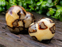 Polished Septerye Hearts x 6 From Mahajanga, Madagascar