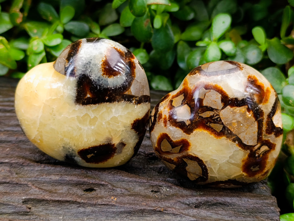 Polished Septerye Hearts x 6 From Mahajanga, Madagascar - Toprock Gemstones and Minerals 