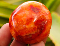Polished Carnelian Palm Stones x 21 From Madagascar