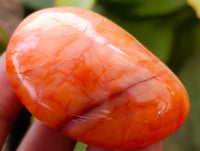 Polished Carnelian Palm Stones x 21 From Madagascar