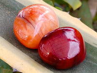 Polished Carnelian Palm Stones x 21 From Madagascar