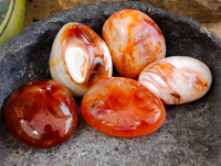 Polished Carnelian Palm Stones x 21 From Madagascar