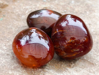 Polished Carnelian Palm Stones x 21 From Madagascar