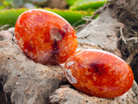 Polished Carnelian Palm Stones x 21 From Madagascar