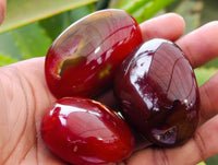 Polished Carnelian Palm Stones x 21 From Madagascar
