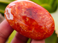 Polished Carnelian Palm Stones x 21 From Madagascar