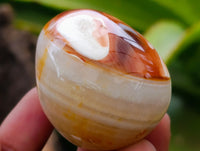 Polished Carnelian Palm Stones x 21 From Madagascar