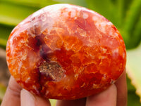 Polished Carnelian Palm Stones x 21 From Madagascar