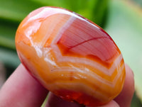 Polished Carnelian Palm Stones x 21 From Madagascar