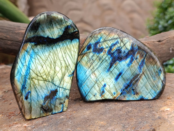 Polished Labradorite Standing Free Forms x 4 From Tulear, Madagascar