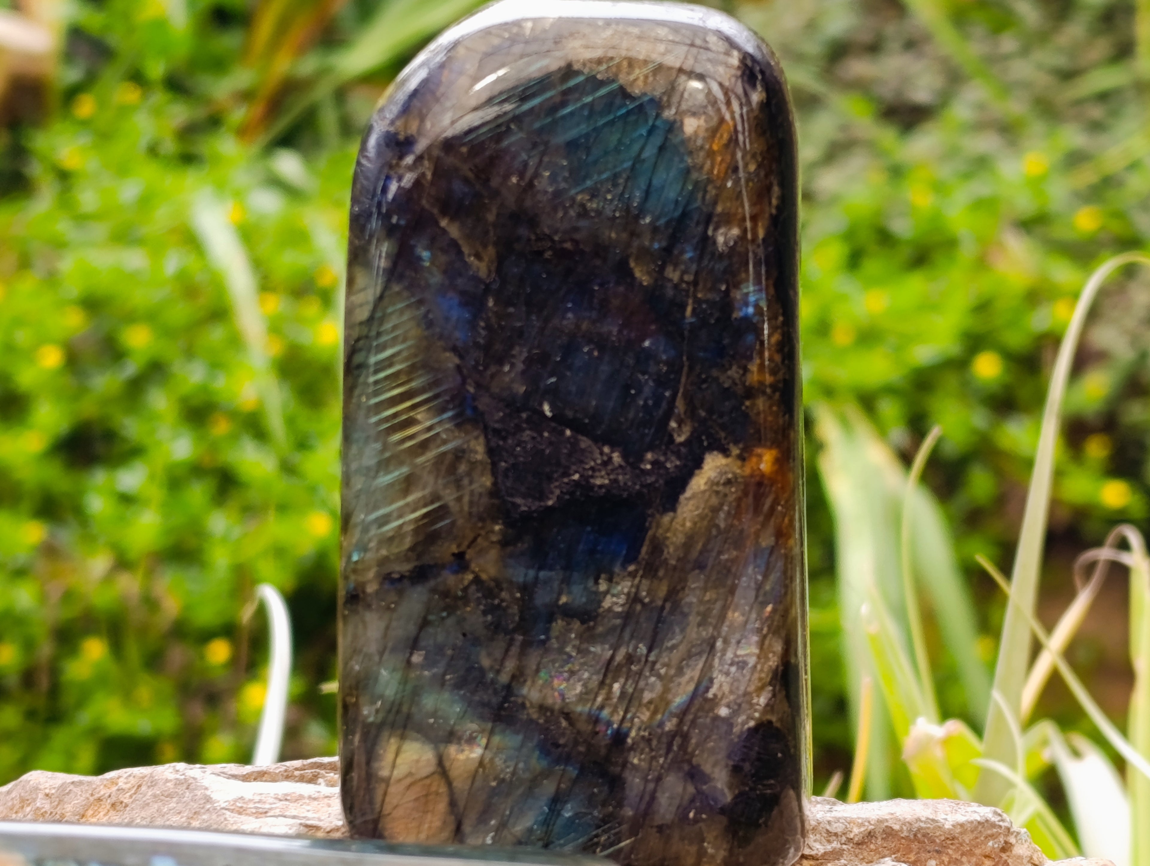 Polished Labradorite Standing Free Forms x 4 From Tulear, Madagascar - Toprock Gemstones and Minerals 