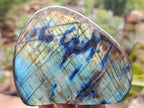 Polished Labradorite Standing Free Forms x 4 From Tulear, Madagascar - Toprock Gemstones and Minerals 