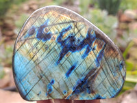 Polished Labradorite Standing Free Forms x 4 From Tulear, Madagascar