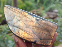 Polished Labradorite Standing Free Forms x 4 From Tulear, Madagascar