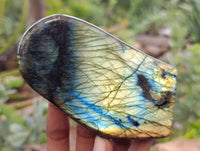 Polished Labradorite Standing Free Forms x 4 From Tulear, Madagascar