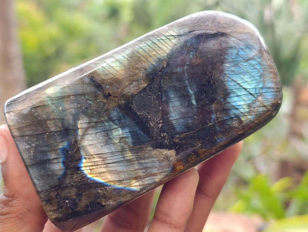 Polished Labradorite Standing Free Forms x 4 From Tulear, Madagascar - Toprock Gemstones and Minerals 