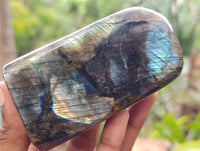 Polished Labradorite Standing Free Forms x 4 From Tulear, Madagascar