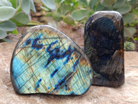 Polished Labradorite Standing Free Forms x 4 From Tulear, Madagascar