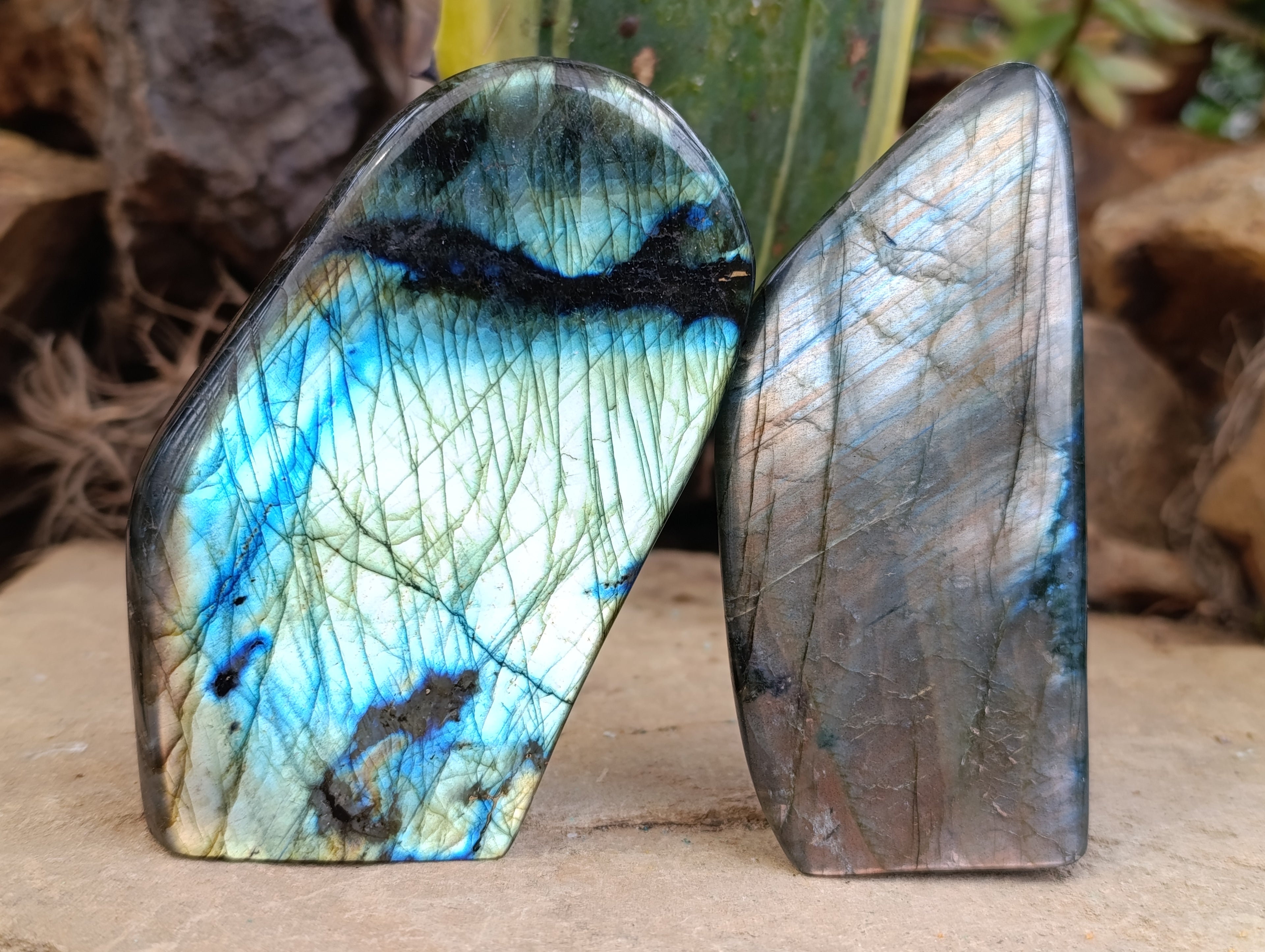 Polished Labradorite Standing Free Forms x 4 From Tulear, Madagascar - Toprock Gemstones and Minerals 