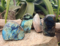 Polished Labradorite Standing Free Forms x 4 From Tulear, Madagascar