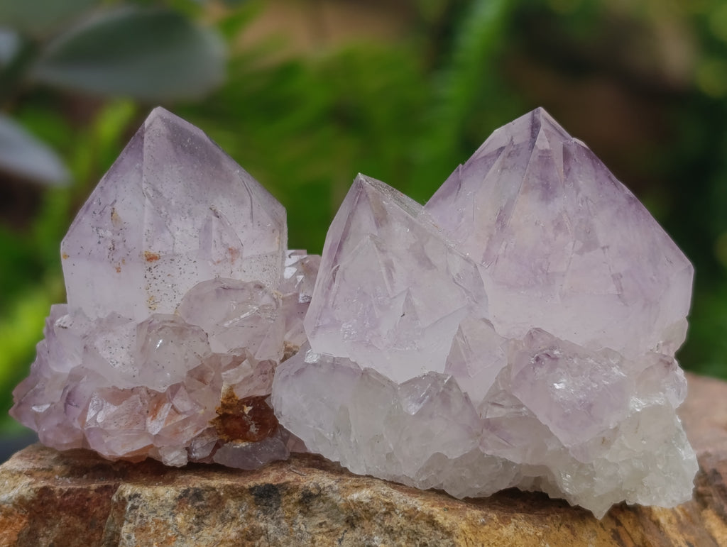 Natural Dark Purple Amethyst Spirit Quartz Clusters x 35 From Boekenhouthoek, South Africa - Toprock Gemstones and Minerals 