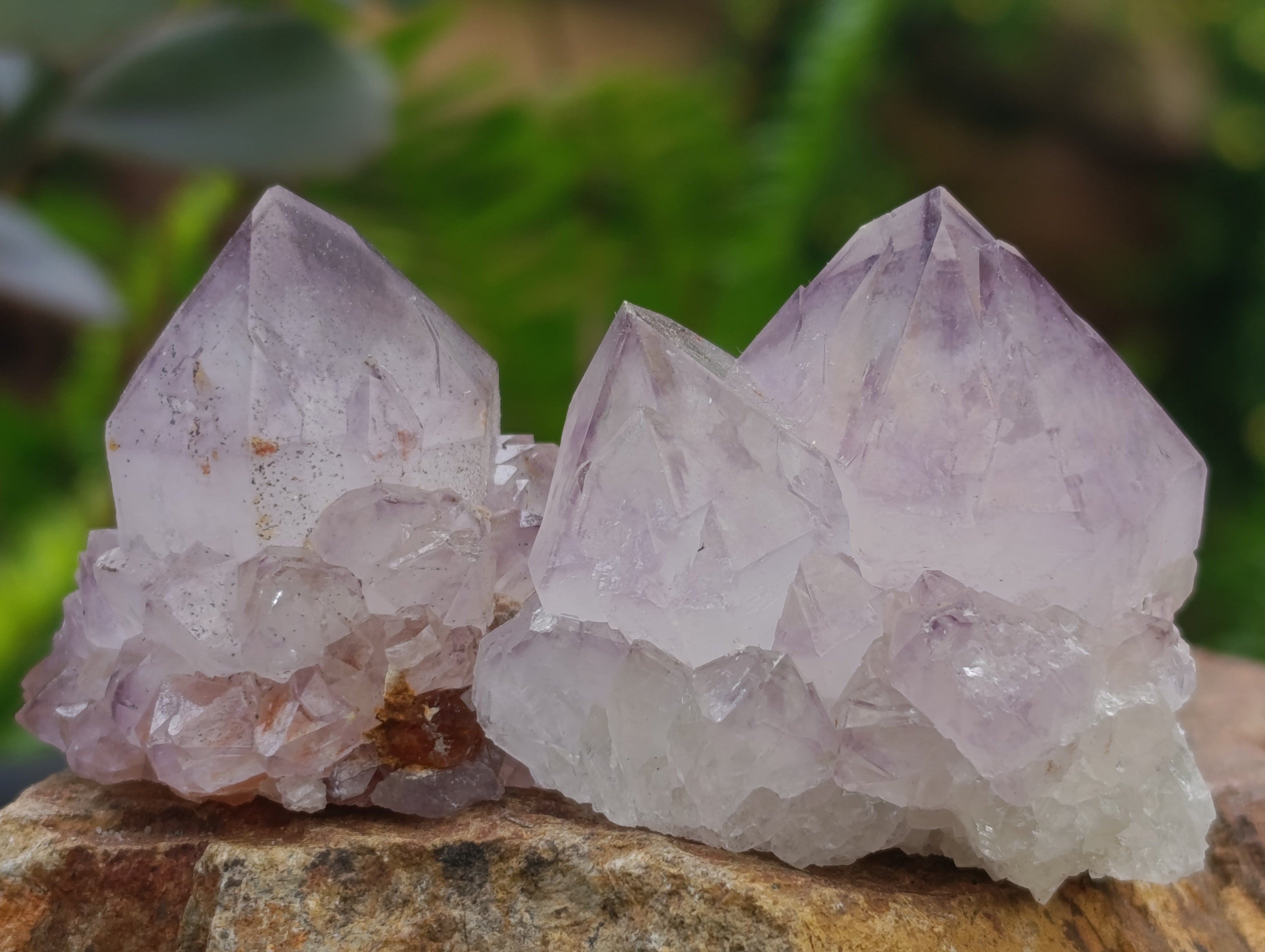 Natural Dark Purple Amethyst Spirit Quartz Clusters x 35 From Boekenhouthoek, South Africa - Toprock Gemstones and Minerals 