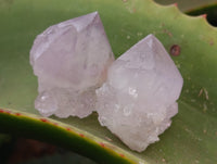 Natural Dark Purple Amethyst Spirit Quartz Clusters x 35 From Boekenhouthoek, South Africa - Toprock Gemstones and Minerals 