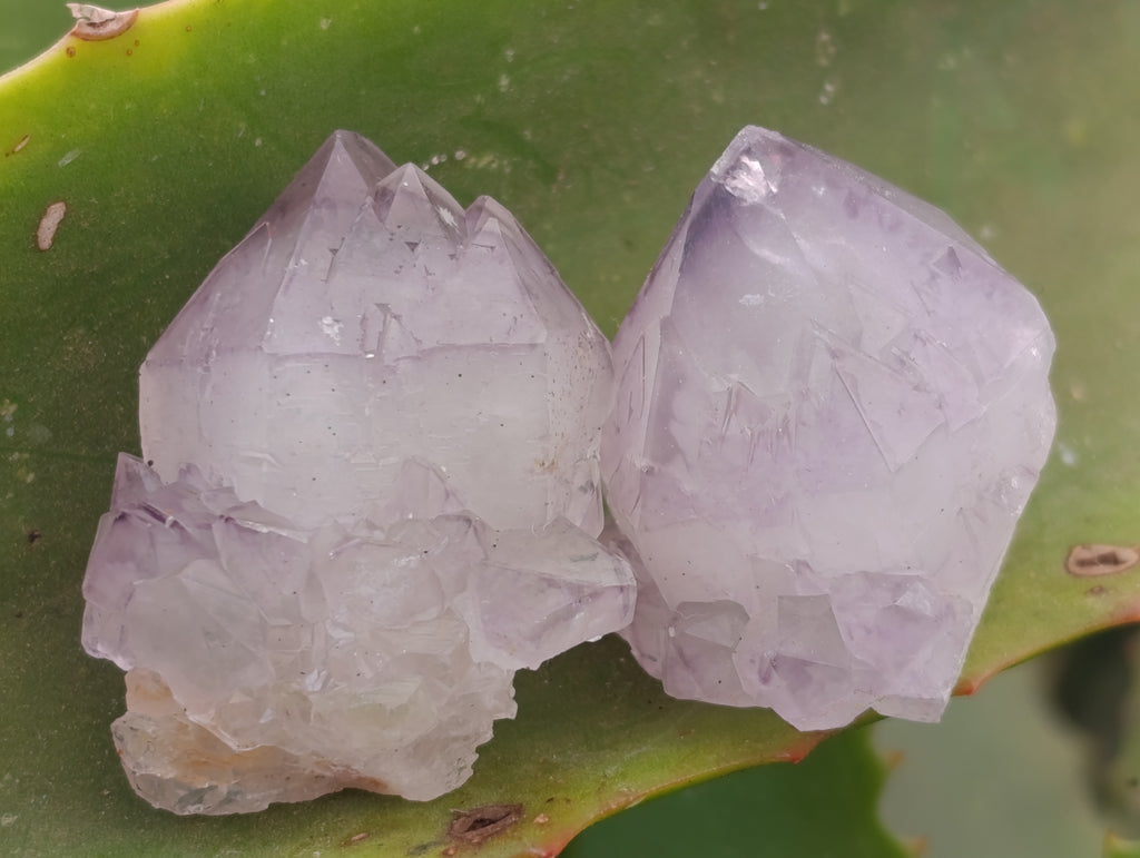 Natural Dark Purple Amethyst Spirit Quartz Clusters x 35 From Boekenhouthoek, South Africa - Toprock Gemstones and Minerals 