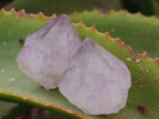 Natural Dark Purple Amethyst Spirit Quartz Clusters x 35 From Boekenhouthoek, South Africa - Toprock Gemstones and Minerals 