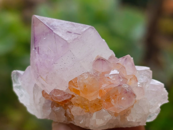 Natural Dark Purple Amethyst Spirit Quartz Clusters x 35 From Boekenhouthoek, South Africa - Toprock Gemstones and Minerals 