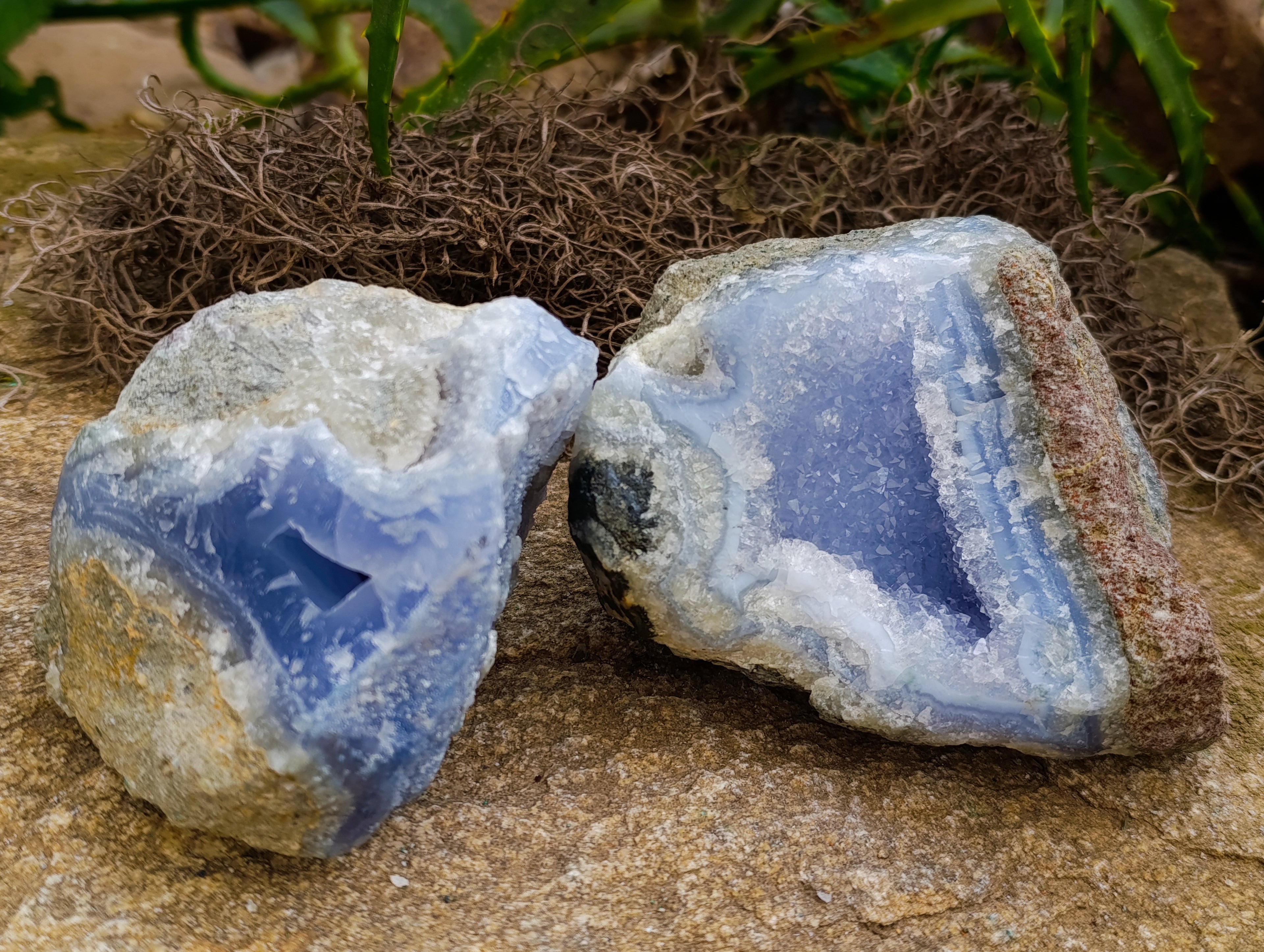 Natural Blue Lace Agate Geode Specimens x 3 From Nsanje, Malawi - Toprock Gemstones and Minerals 