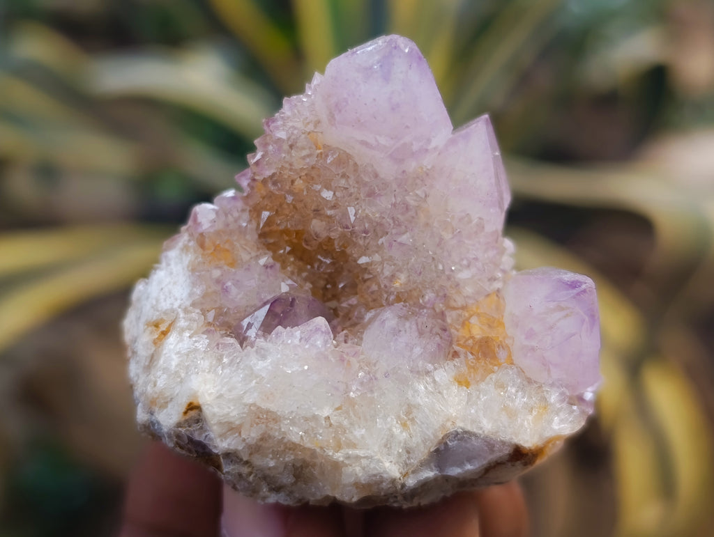 Natural Amethyst Spirit Quartz Clusters x 12 From Boekenhouthoek, South Africa - Toprock Gemstones and Minerals 