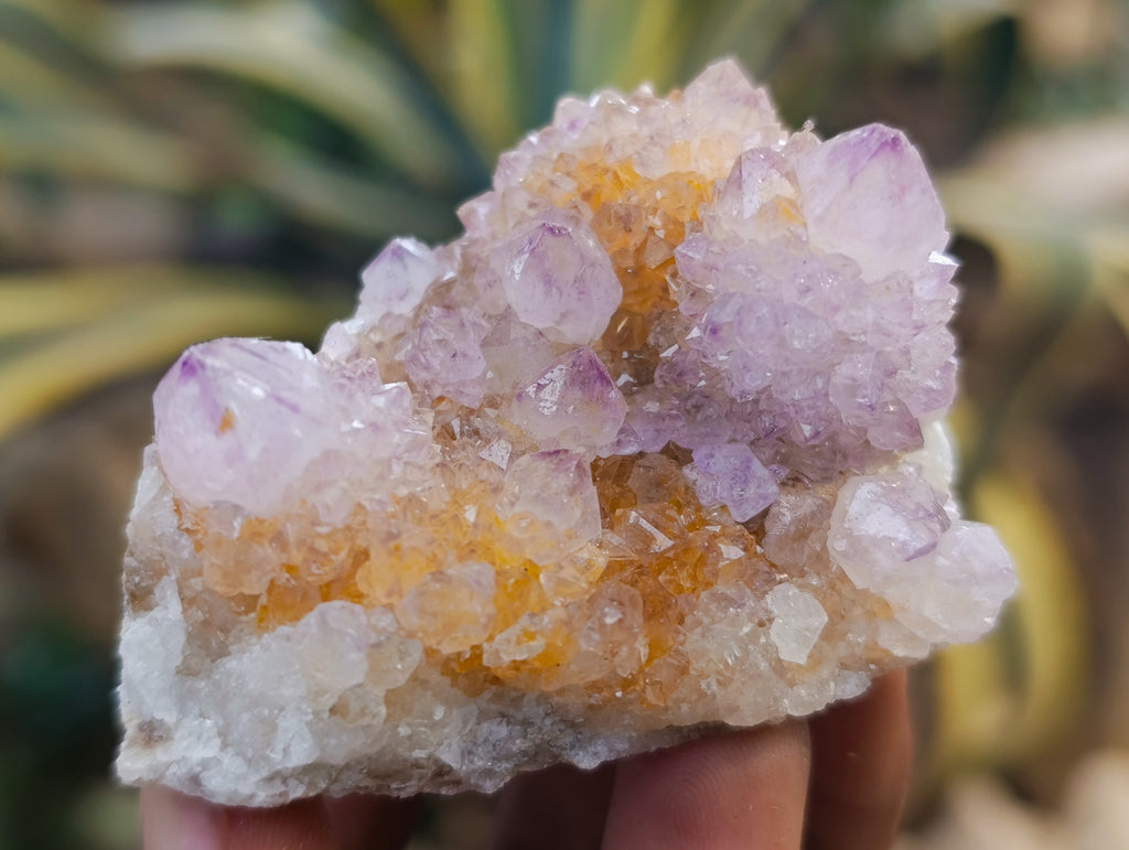 Natural Amethyst Spirit Quartz Clusters x 12 From Boekenhouthoek, South Africa - Toprock Gemstones and Minerals 