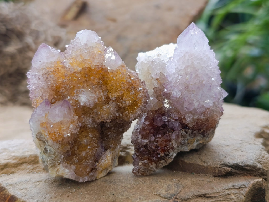 Natural Amethyst Spirit Quartz Clusters x 12 From Boekenhouthoek, South Africa - Toprock Gemstones and Minerals 