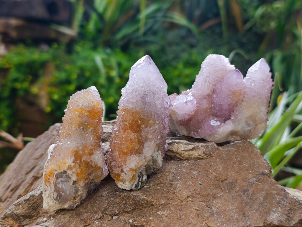 Natural Amethyst Spirit Quartz Clusters x 12 From Boekenhouthoek, South Africa - Toprock Gemstones and Minerals 