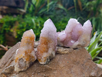 Natural Amethyst Spirit Quartz Clusters x 12 From Boekenhouthoek, South Africa
